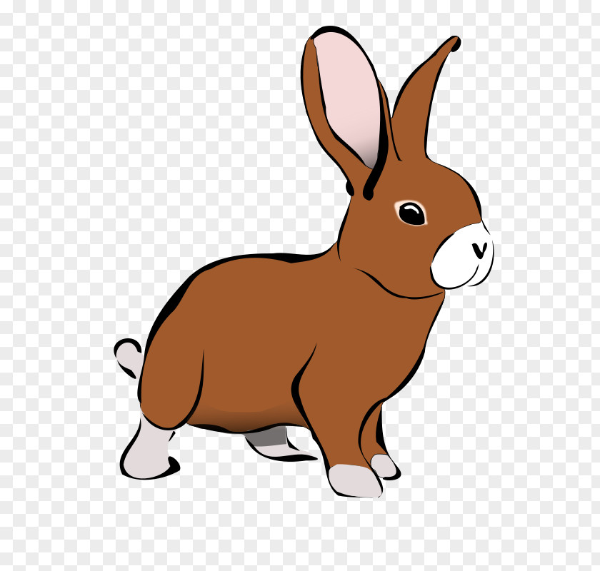 Rabbit Domestic Snowshoe Hare Clip Art PNG