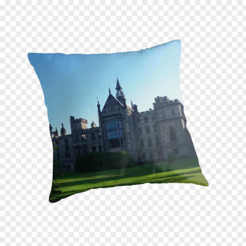 Alton Towers Throw Pillows Cushion Rectangle PNG