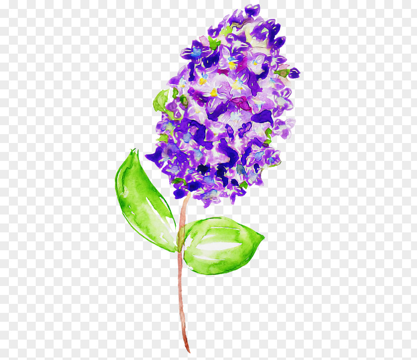 Flower Purple Violet Plant Lilac PNG