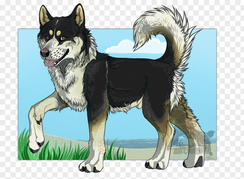 German Shepherd Husky Mix Siberian Saarloos Wolfdog Alaskan Malamute Jämthund Sakhalin PNG