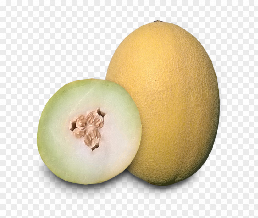 Melon Honeydew Cantaloupe Galia ZKI Zrt. Research PNG