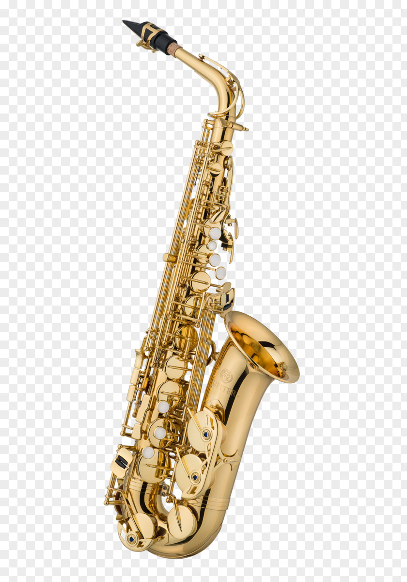 Saxophone Alto Yanagisawa Wind Instruments Musical Range PNG