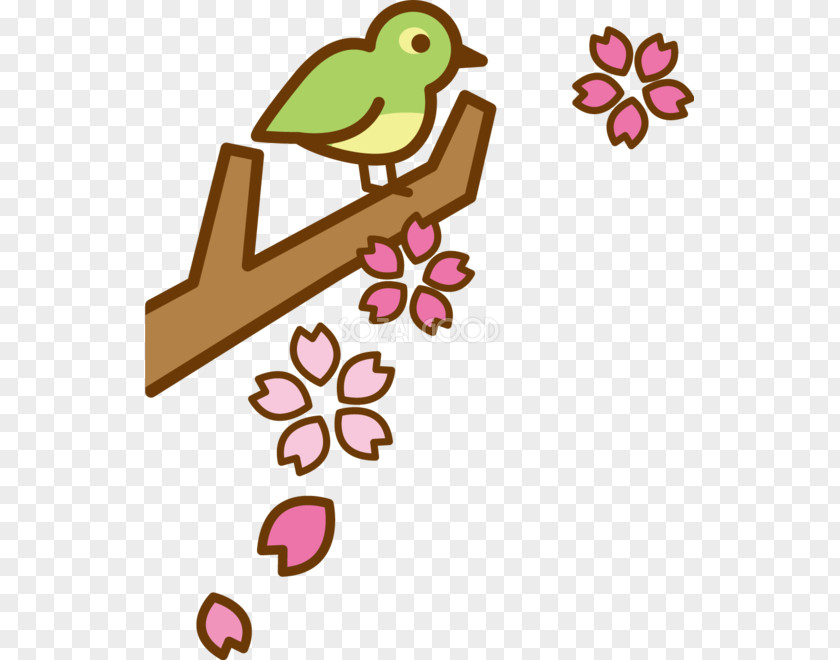 Illustration Clip Art Bird Branch Beak PNG