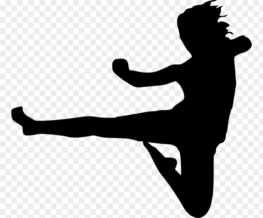 Karate Kickboxing Martial Arts Clip Art PNG