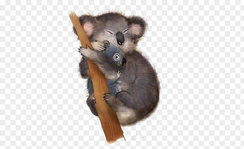 Koala Poster Illustration PNG