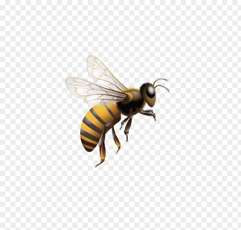 Bees In The Air Honey Bee Insect Beehive Clip Art PNG