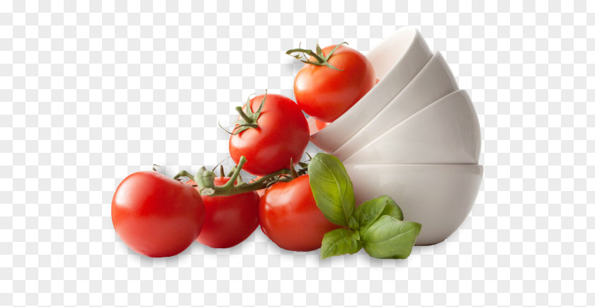 Food Leaflets Tomato Minestrone Umami MSG PNG