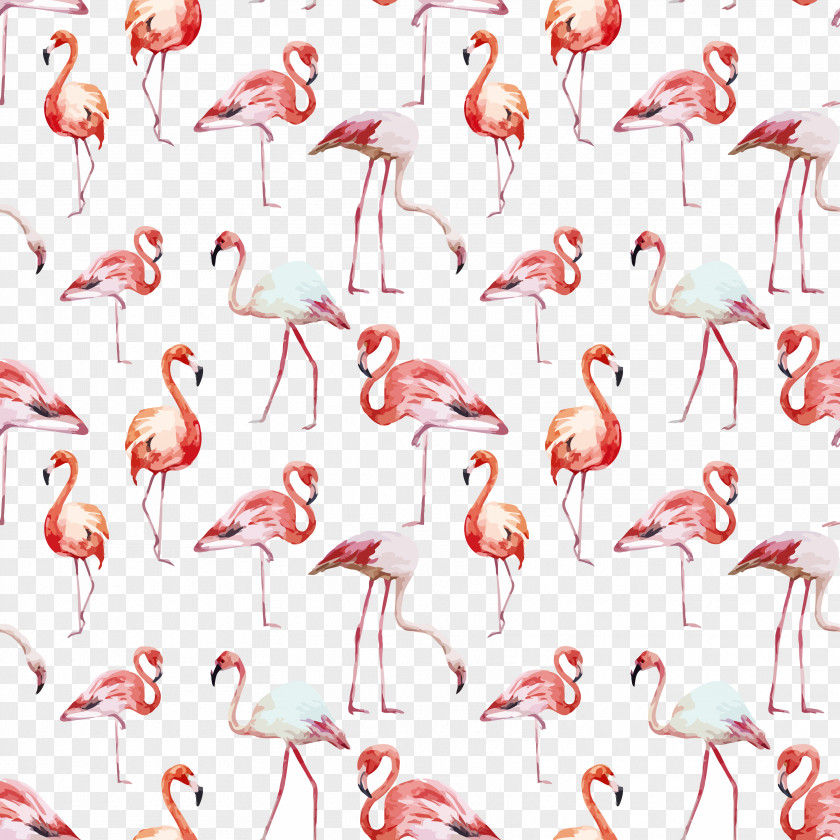 Watercolor Seamless Background Vector Flamingo Bird Wallpaper PNG