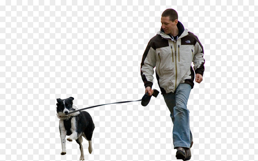 Dog Walking Pet Sitting Breed Shar Pei PNG