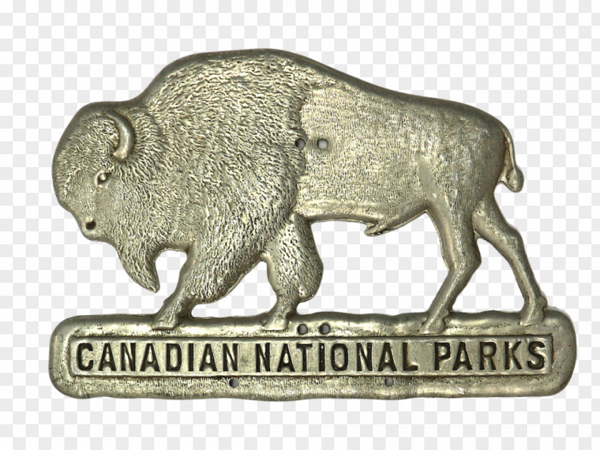 Park National Cattle Buffalo Pass Crowfoot Media Inc. PNG