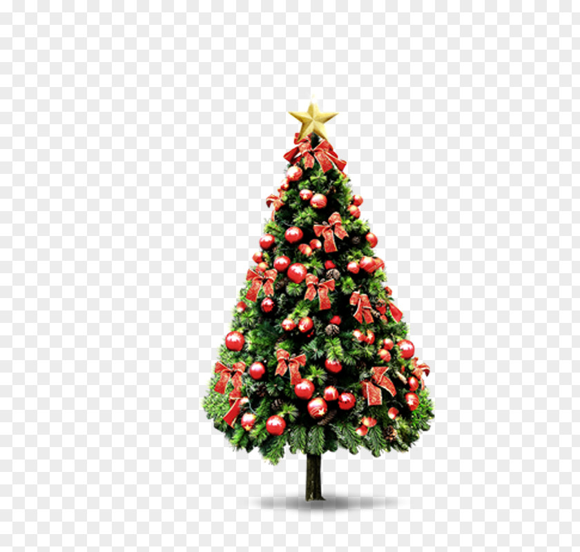 Christmas Tree Pxe8re Noxebl Santa Claus Decoration PNG