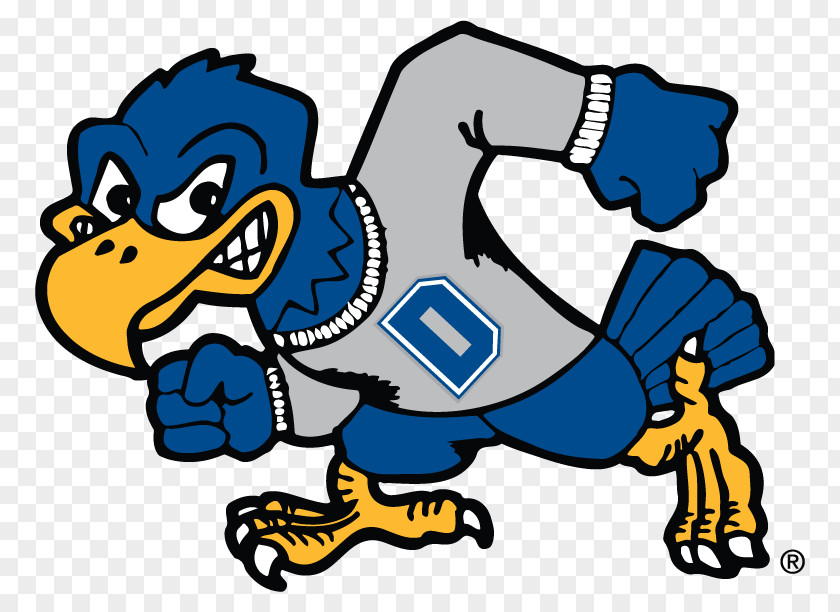 Dickinson State University Blue Hawk Football Hawks Women's Basketball Roosevelt Men's PNG