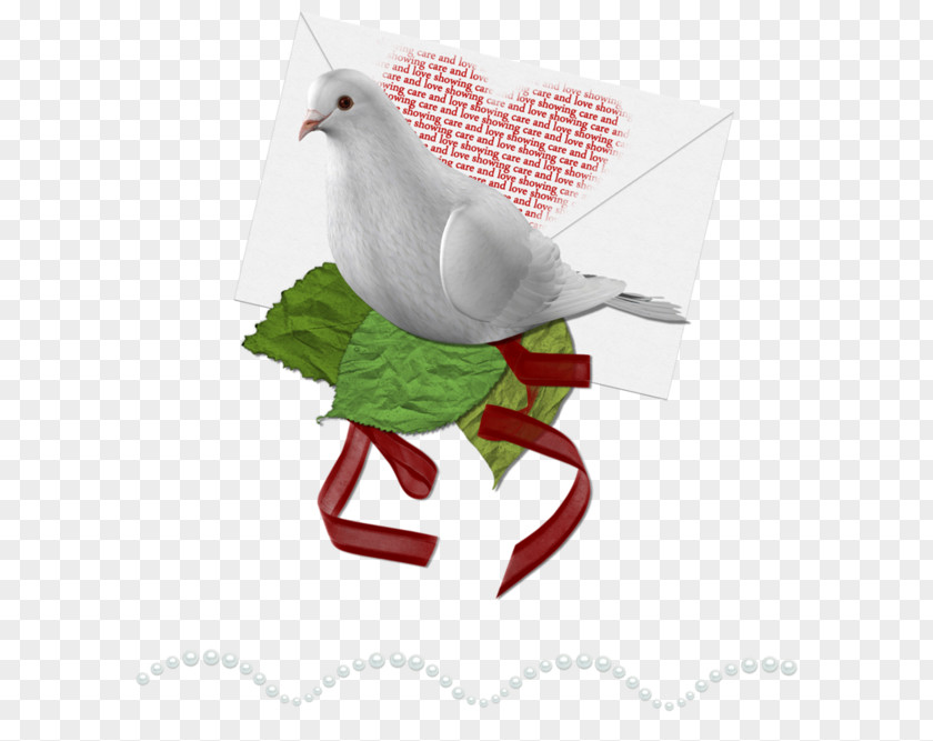 Fowl Love Letter Image Drawing Illustration PNG