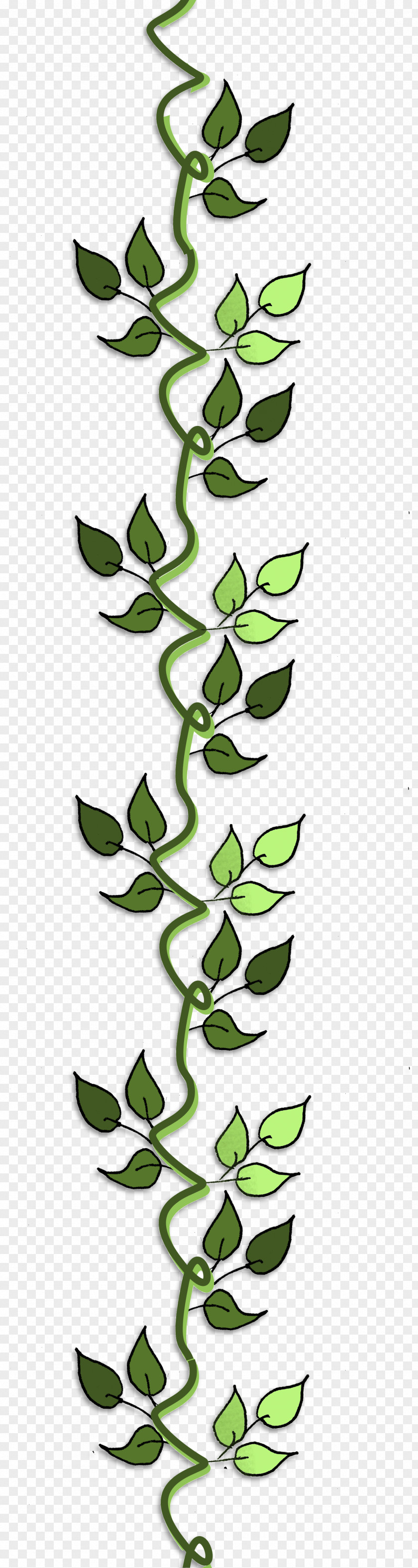 Leaf Plant Stem Line Clip Art PNG