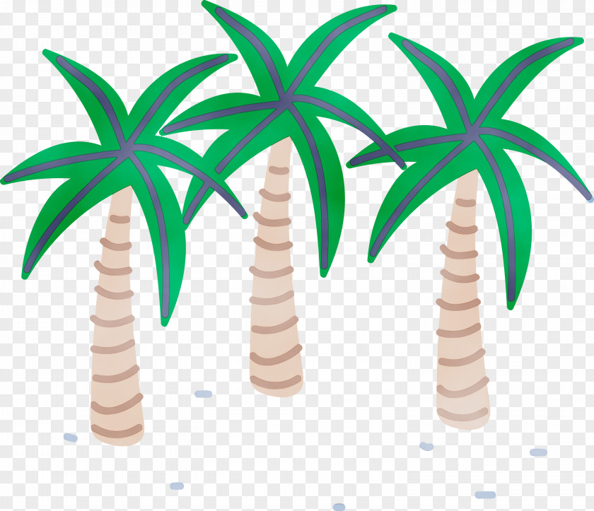 Palm Trees PNG