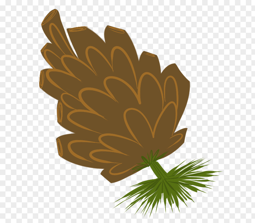 Peppy Vector Conifer Cone Pine Roblox Leaf PNG