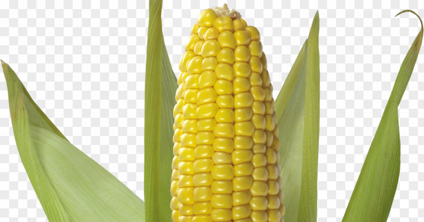 Popcorn Corn On The Cob Sweet Flint Clip Art PNG