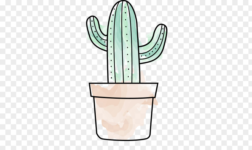 Cactus Cactaceae Succulent Plant Drawing Pigmyweeds PNG