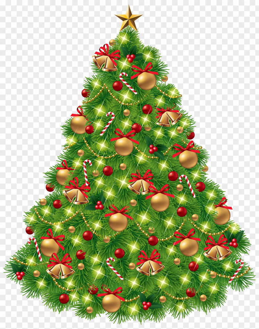 Christmas Tree Clip Art PNG