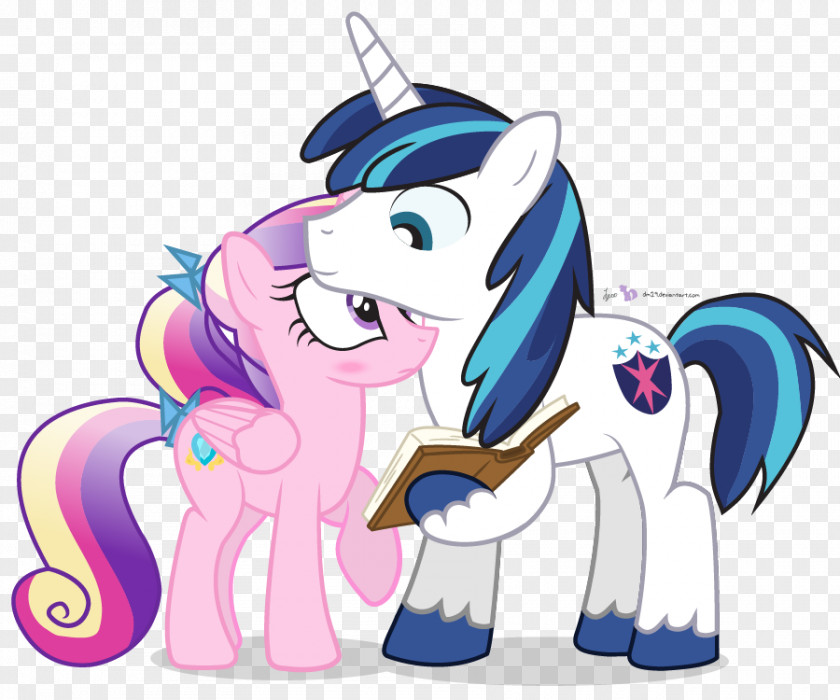Horse Pony Rainbow Dash Twilight Sparkle Princess Cadance DeviantArt PNG