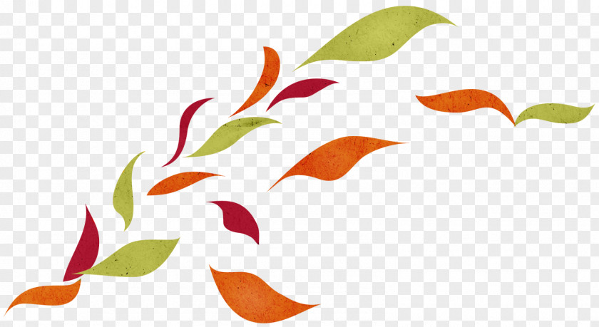 Leaf Clip Art PNG