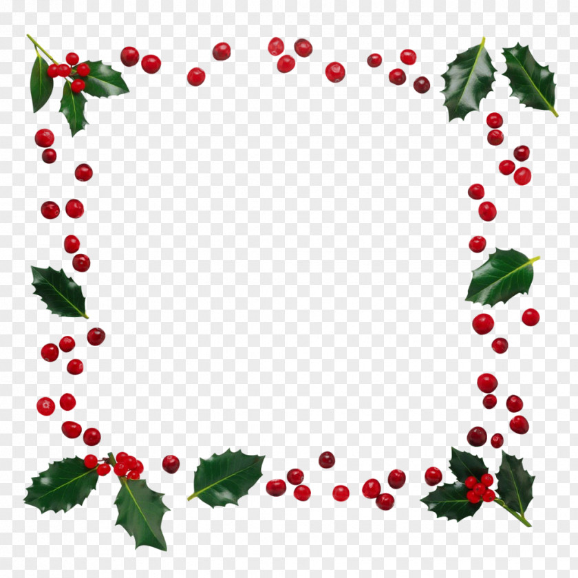 Ornament Flower Holly PNG