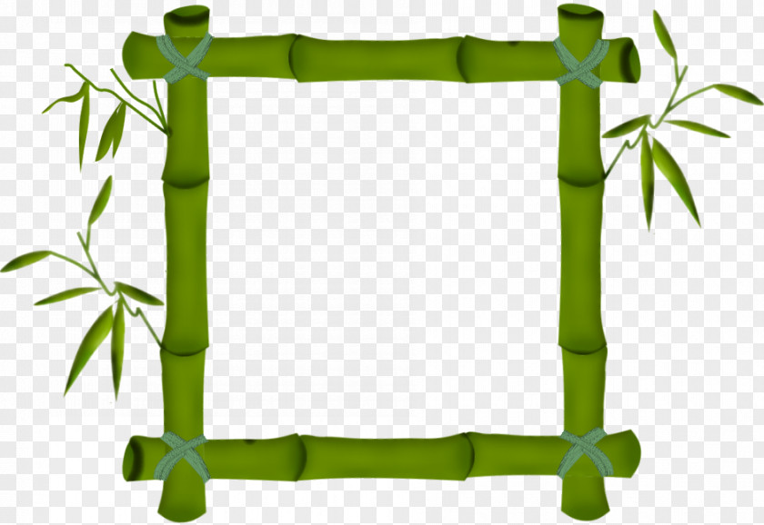 Bamboo Border Picture Frames Photography Bamboe PNG