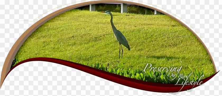 Davie Fort Lauderdale Miami Metropolitan Area Everglades Ocean City Development Corporation PNG