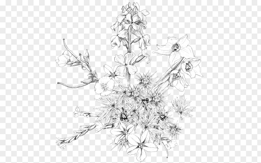 Design Floral Pine Sketch PNG