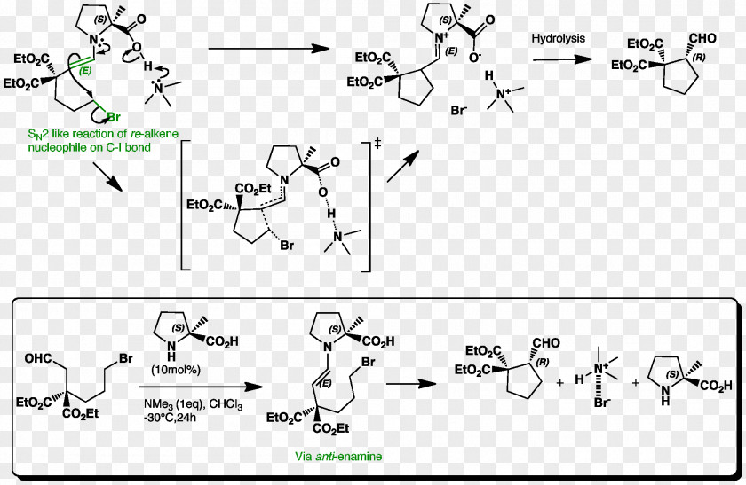 Enamine Nucleophilic Substitution Nucleophile Intramolecular Reaction SN2 PNG