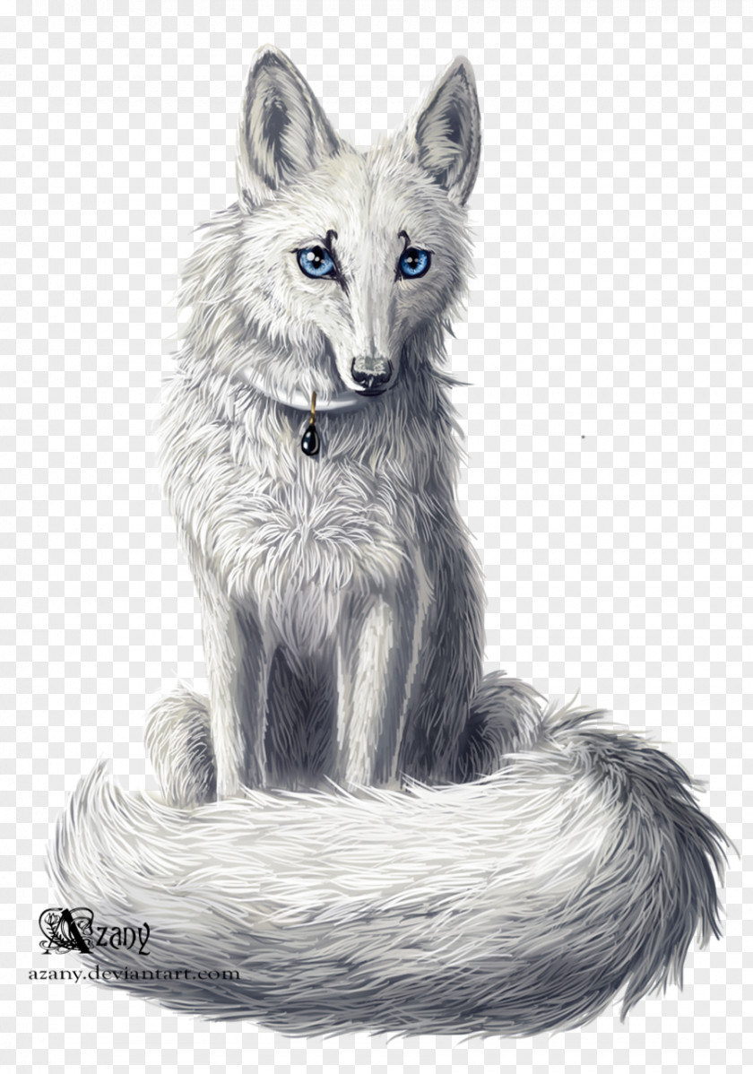 Fox Red Gray Wolf Kit Fur Drawing PNG