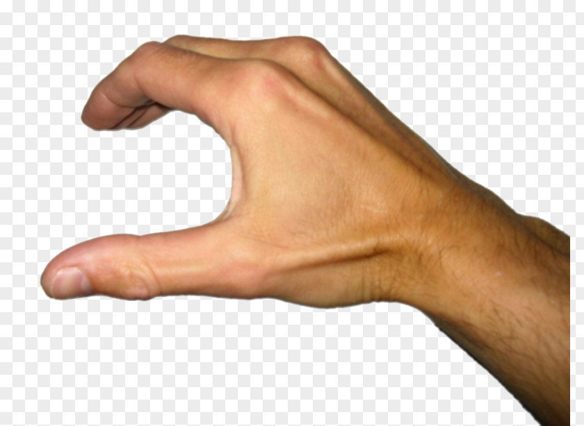Hand Thumb Palmistry Finger PNG