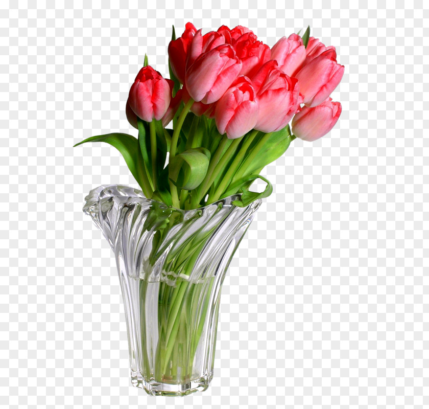 Vase Flower Clip Art PNG