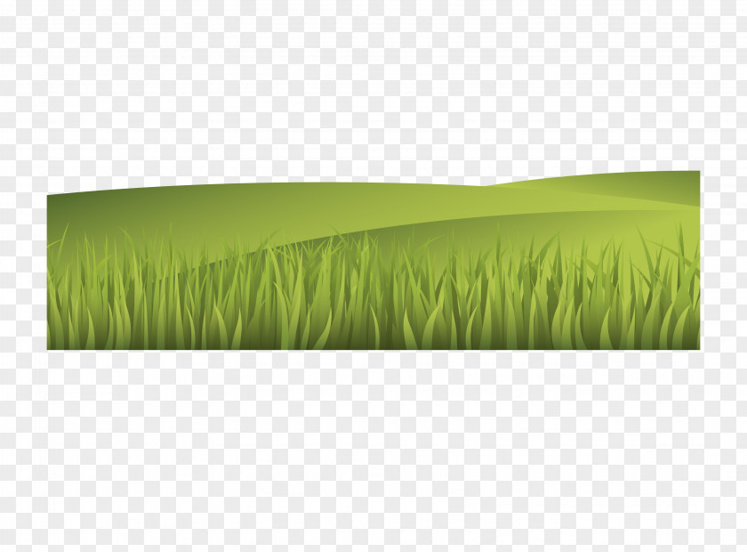 Vector Illustration Grass Landscape PNG