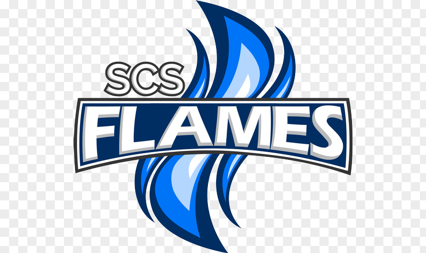 Volleyball With Flames Logo Brand Product Font Steinbach PNG
