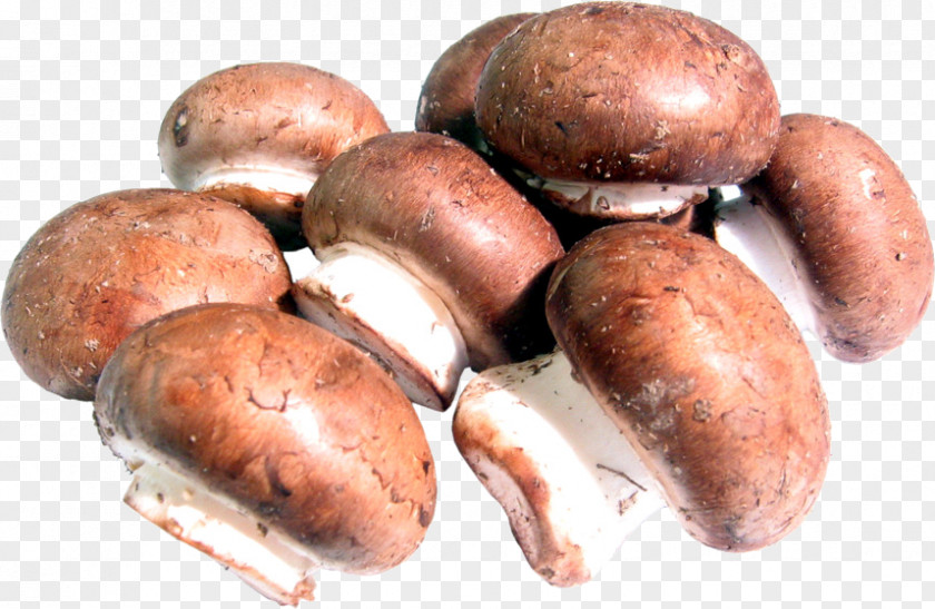 Mushroom Common Shiitake Edible Food PNG
