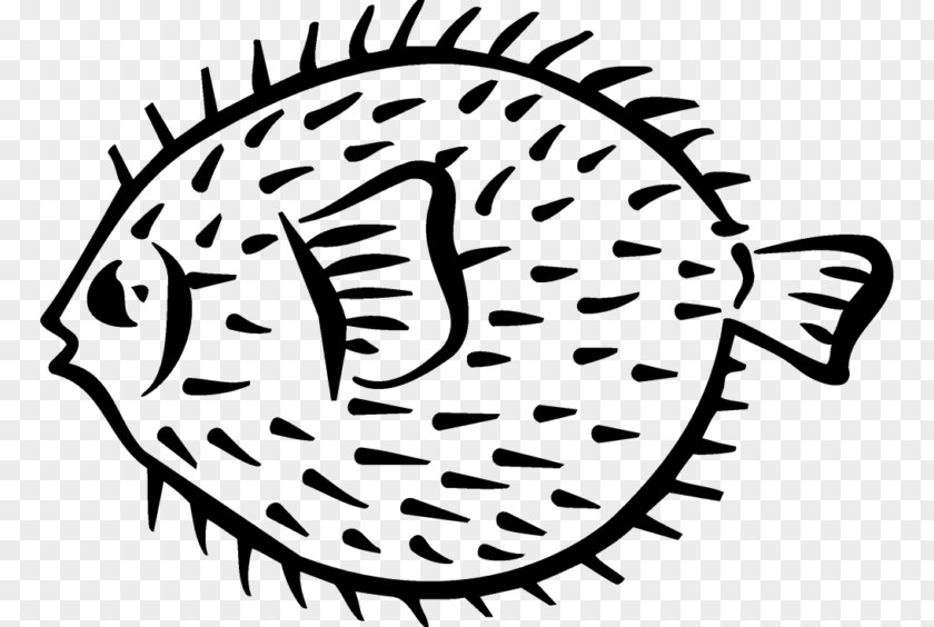 Pufferfish Drawing Porcupinefish Clip Art PNG