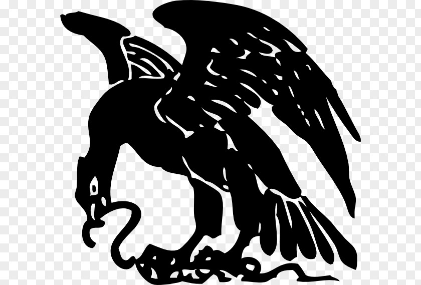 Snake Bald Eagle Symbol Clip Art PNG