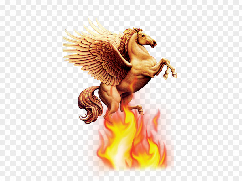 Fire On Pegasus Download PNG