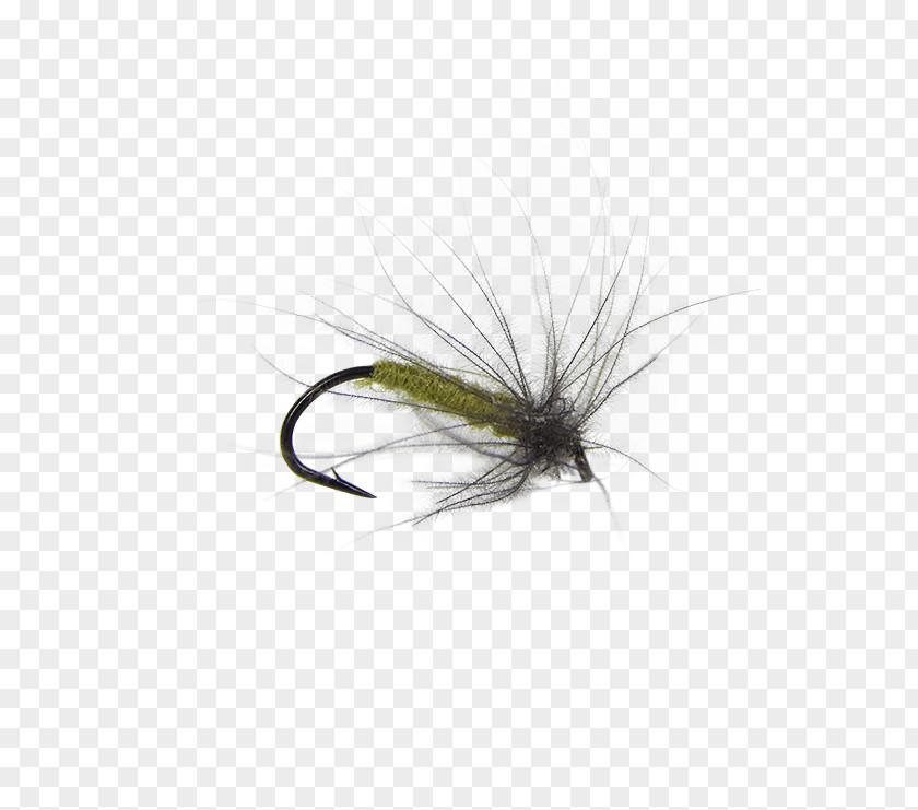 Fly Tying Artificial Hare's Ear Insect Stock Keeping Unit PNG