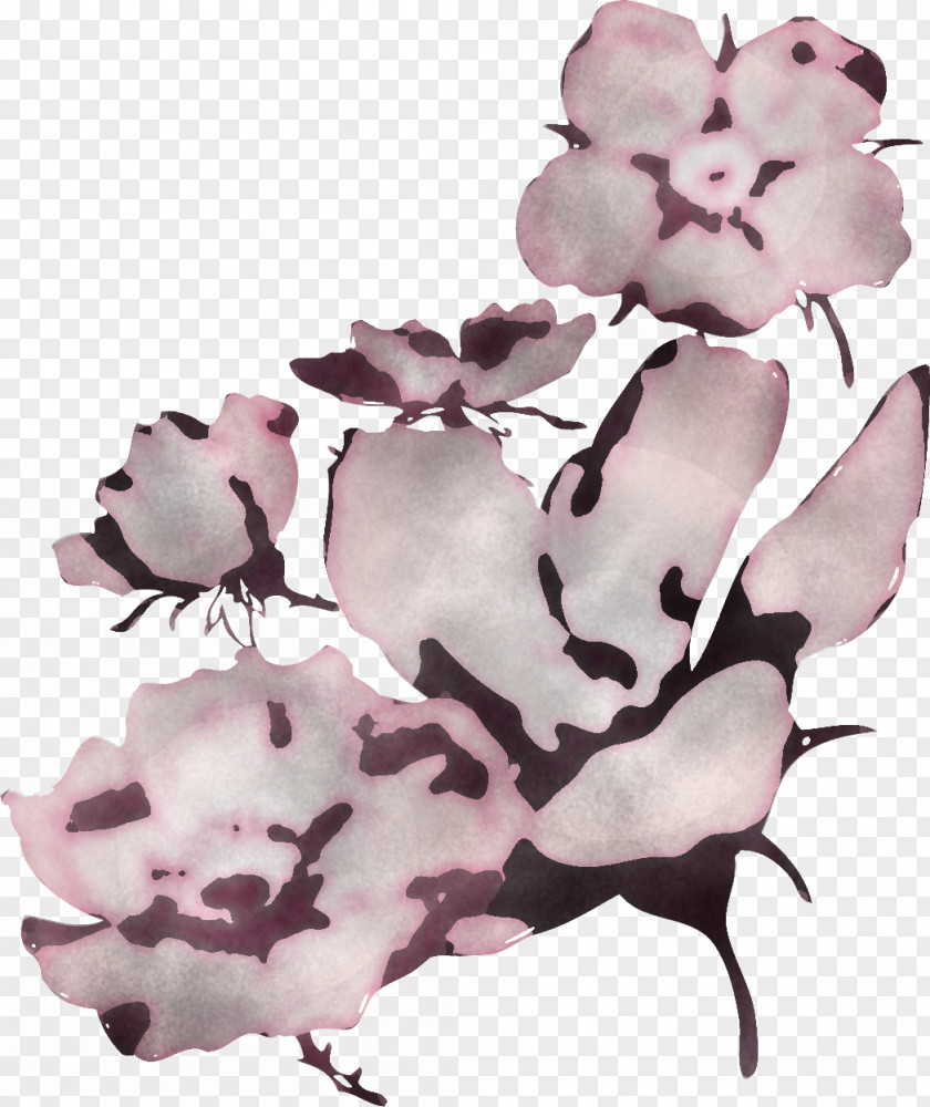 Pink Flower Plant Petal Herbaceous PNG