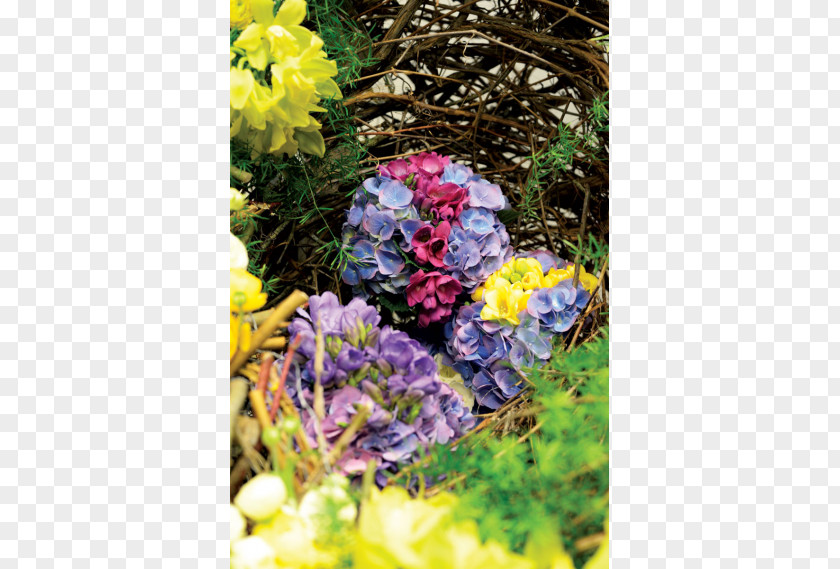 Spring Blooming Cut Flowers Hydrangea Floral Design Quince PNG