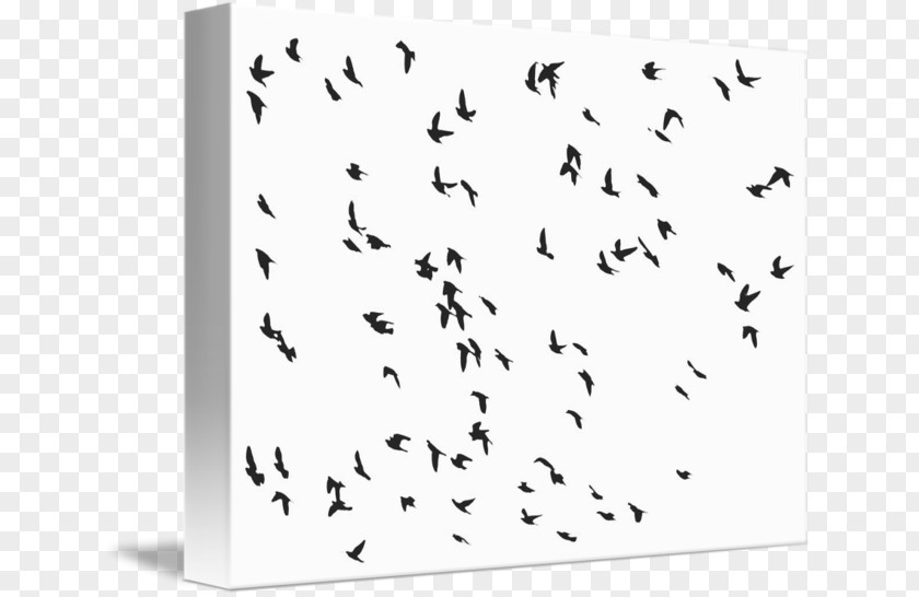 Flock Bird Gulls Flight Common Starling PNG