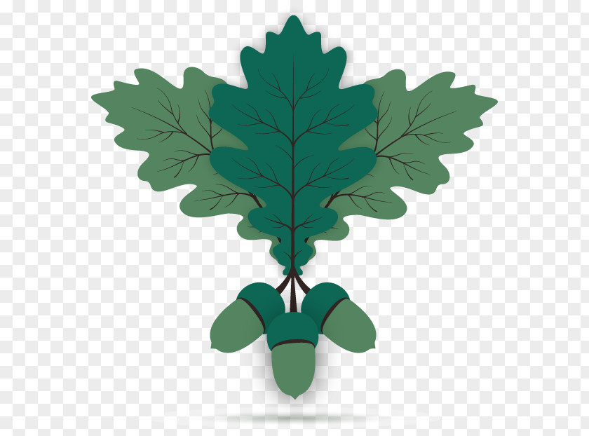 Green Leafy Acorns Vector Material Oak Acorn Leaf Euclidean PNG