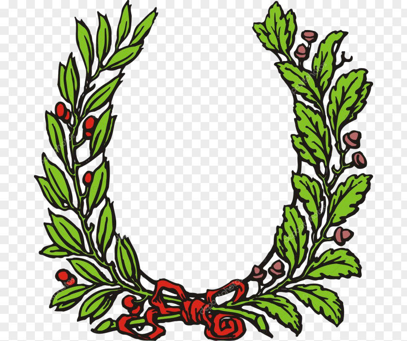 Laurel Wreath Bay Olive Clip Art PNG