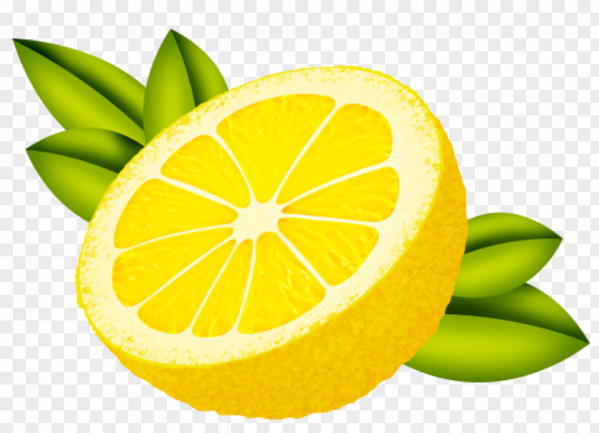 Lemon Sweet Key Lime Grapefruit PNG