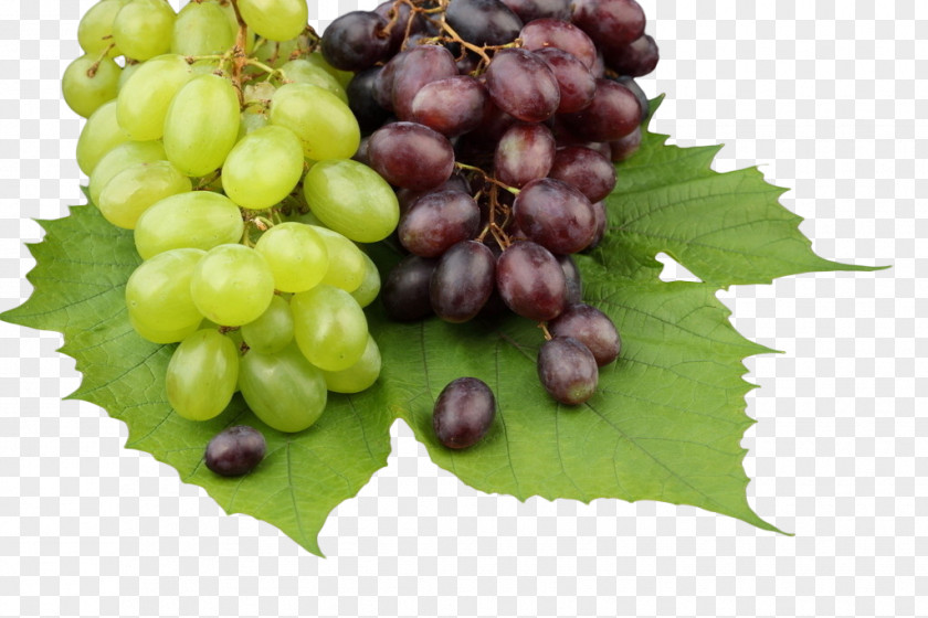 Purple Grapes And Green Common Grape Vine High-definition Television 1080p Wallpaper PNG
