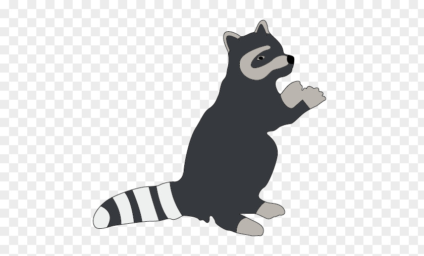 Raccoon Whiskers Clip Art PNG