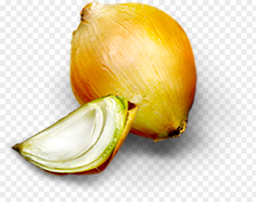 Cartoon Onion Food Material PNG