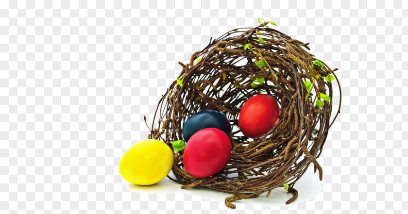 Nest Egg Edible Birds Bird PNG